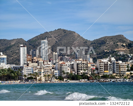 beautiful view on the beach and sea with coconut palm tree 132472212