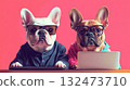 Two French bulldogs wearing glasses and colorful hoodies sitting in front of laptops, creating funny and cute workspace scene 132473710