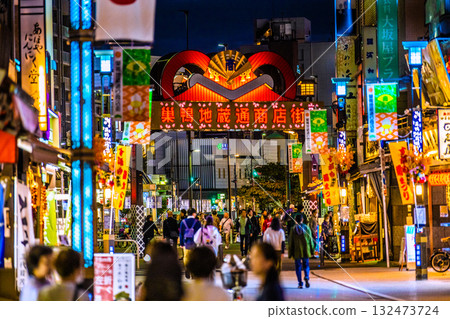 Tokyo cityscape in Japan - View of Sugamo Station (in the background) and Sugamo Jizo-dori Shopping Street (Sugamo Jizo-dori Shopping Street) Tokyo cityscape in Japan - View of Sugamo Station (in the background) and Sugamo Jizo-dori Shopping Street (Sugamo Jizo-dori Shopping Street) 132473724