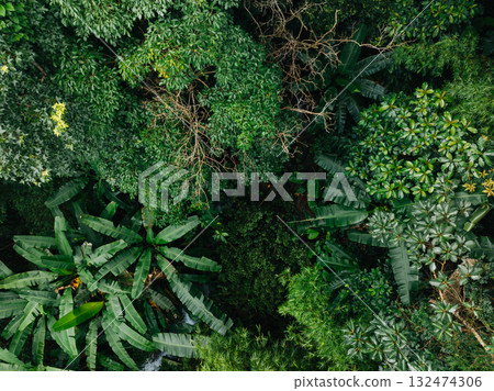 Aerial view of beautiful tropical forest mountain landscape in summer 132474306