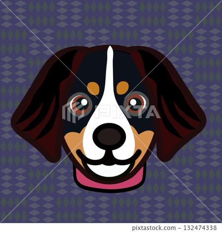 Bernese Mountain Dog face with background Bernese Mountain Dog face with background 132474338
