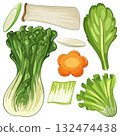 Colorful Vector Illustration of Fresh Vegetables 132474438