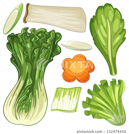 Colorful Vector Illustration of Fresh Vegetables Colorful Vector Illustration of Fresh Vegetables 132474438