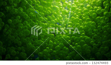 Abstract texture of green spheres or biological cells suspended in liquid 132474493