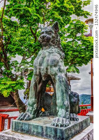 狼守護犬 132474946