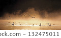 A flock of ducks flying through the morning mist, a fantastical, ecological image 132475011