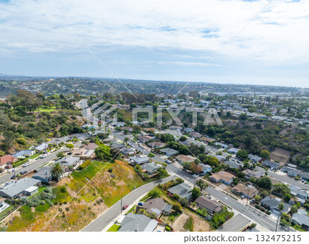 Aerial view of houses in Oceanside town in San Diego, California. USA 132475215