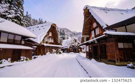 Aristocratically建有雪 132475625