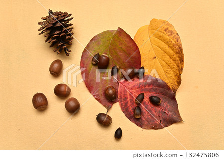 落葉和橡實 - 秋天的景象 132475806