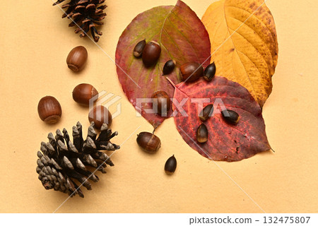 落葉和橡實 - 秋天的景象 132475807