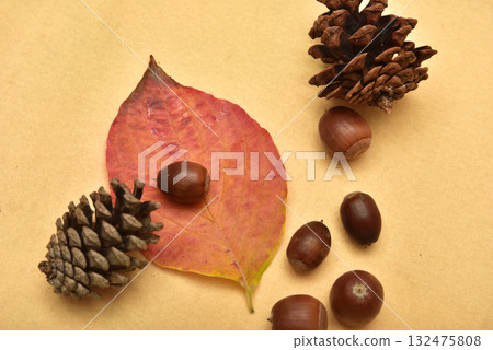 落葉和橡實 - 秋天的景象 132475808