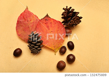 落葉和橡實 - 秋天的景象 132475809