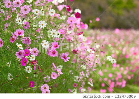 宇宙秋天圖像 宇宙秋天圖像 132476009