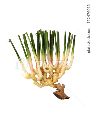 New ginger 132476013