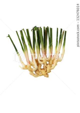 New ginger New ginger 132476014