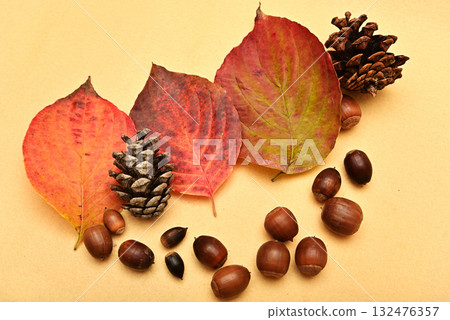 Fallen leaves and acorns - Autumn image 132476357