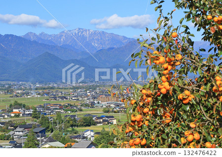 Autumn in Azumino: Persimmons and the Northern Alps Autumn in Azumino: Persimmons and the Northern Alps 132476422