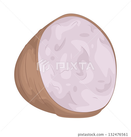 Illustration of taro 132476561