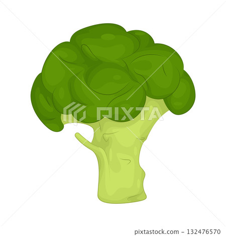 Illustration of broccoli Illustration of broccoli 132476570
