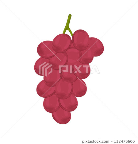 Illustration of grape  132476600