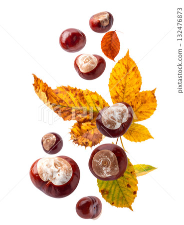 秋天，栗子飛舞，落葉飄零 | 無背景，透明PNG，複製空間 132476873