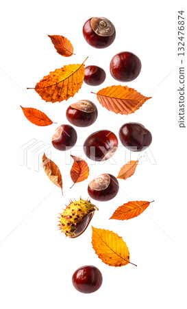 秋天,栗子飛舞,落葉飄零 | 無背景,透明PNG,複製空間 秋天,栗子飛舞,落葉飄零 | 無背景,透明PNG,複製空間 132476874