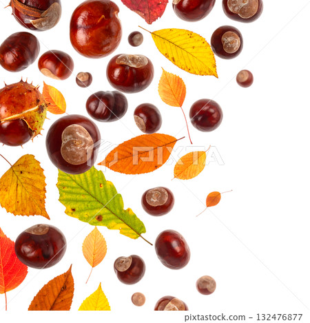 秋天,栗子飛舞,落葉飄零 | 無背景,透明PNG,複製空間 秋天,栗子飛舞,落葉飄零 | 無背景,透明PNG,複製空間 132476877