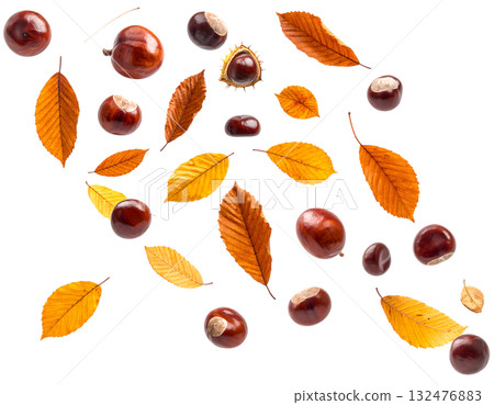 秋天，栗子飛舞，落葉飄零 | 無背景，透明PNG，複製空間 132476883