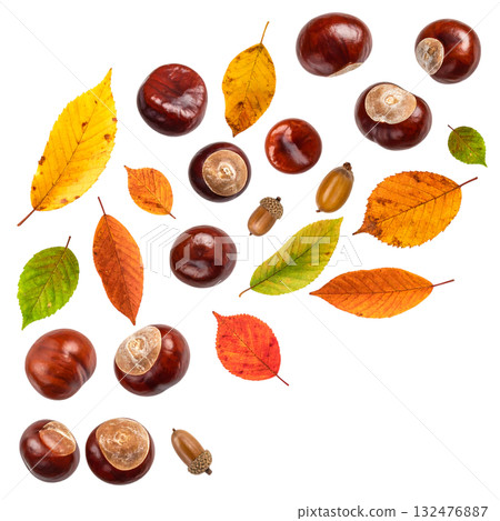 秋天,栗子飛舞,落葉飄零 | 無背景,透明PNG,複製空間 秋天,栗子飛舞,落葉飄零 | 無背景,透明PNG,複製空間 132476887