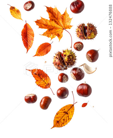 秋天，栗子飛舞，落葉飄零 | 無背景，透明PNG，複製空間 132476888