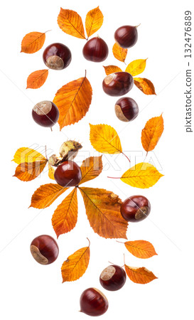 秋天，栗子飛舞，落葉飄零 | 無背景，透明PNG，複製空間 132476889