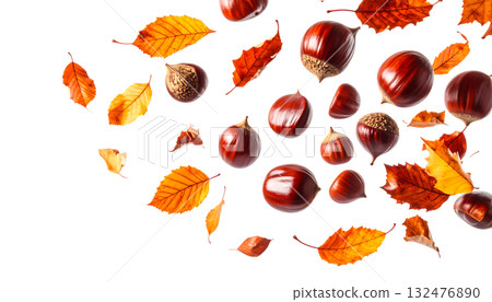 秋天，栗子飛舞，落葉飄零 | 無背景，透明PNG，複製空間 132476890