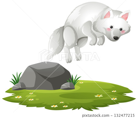 Arctic Fox Leaping Over Rock on Grassy Meadow 132477215