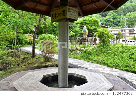 Nikko City Kawaji Onsen: Musubi no Yu and fresh greenery at Kawaji Fureai Park 132477302