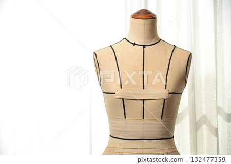 Ladies Torso 132477359