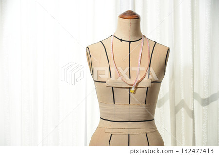 Ladies Torso Ladies Torso 132477413