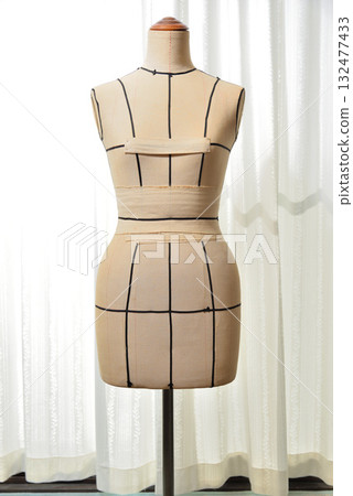 Ladies Torso 132477433