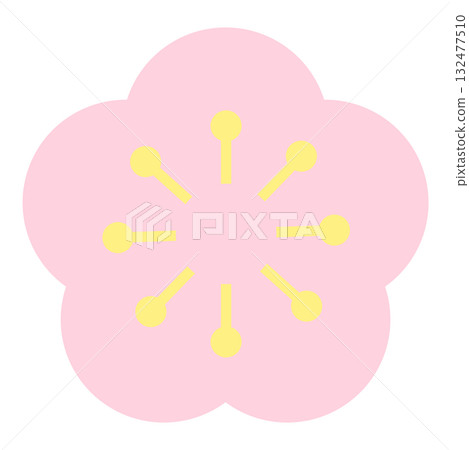 Pale pink plum blossom illustration 132477510