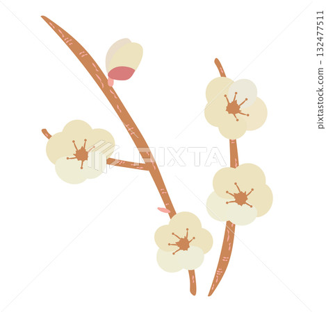 New Year's illustration of white plum branch 132477511