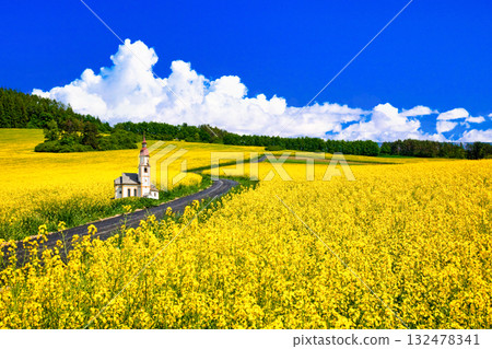 波希米亞風油菜田與歐式教堂的結合 132478341