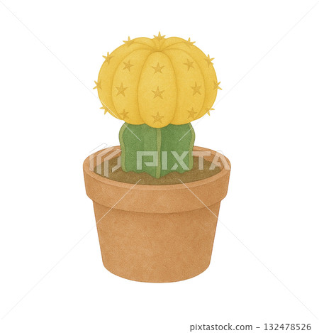 [仙人掌] 黃色裸萼球（猩紅牡丹）/盆 132478526