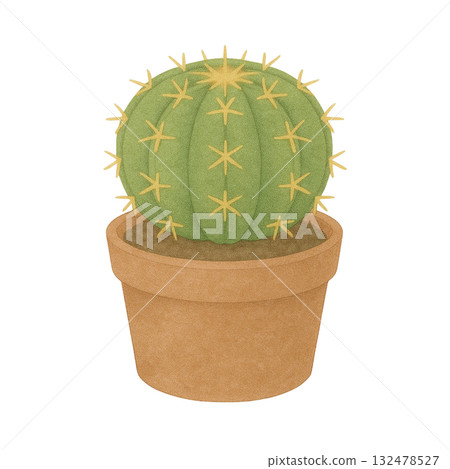 [仙人掌] 金琥（金蟾）/盆栽插圖 132478527