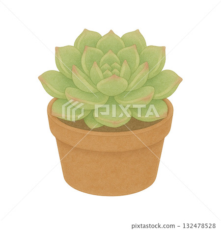 [多肉植物] 石蓮花（Ariel）/盆栽插圖 132478528