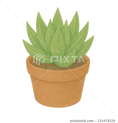 【多肉植物】十二卷插畫/盆栽 【多肉植物】十二卷插畫/盆栽 132478529