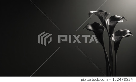 Monochrome Calla Lilies | Minimalist Composition and Ample Copy Space (Mourning, Solemn, Elegant) 132478534