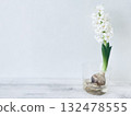 White hyacinths blooming on a transparent glass panel. This piece evokes a sense of tranquility and purity. 132478555