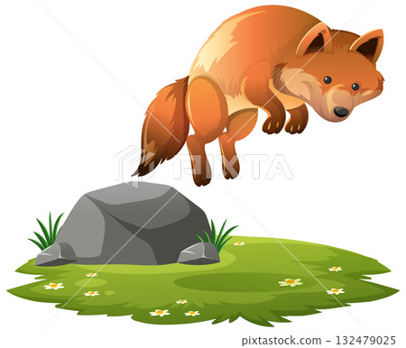 Red Fox Leaping Over Rock on Grass Patch Red Fox Leaping Over Rock on Grass Patch 132479025