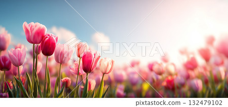 春季淡色鬱金香花束,柔和的燈光背景和複製空間(慶祝、季節性) 春季淡色鬱金香花束,柔和的燈光背景和複製空間(慶祝、季節性) 132479102