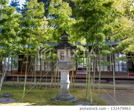 Garden of Edo-Tokyo 132479863