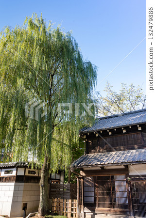 Garden of Edo-Tokyo 132479886
